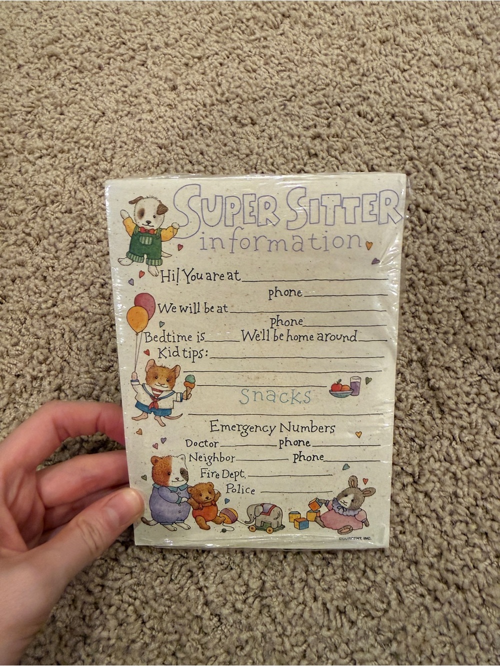 BabySitter Information Notepad
